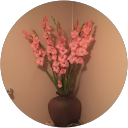 Imelda Kenny profile picture